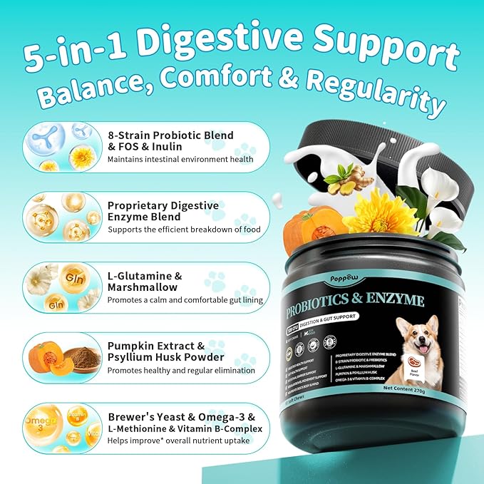 Probiotics for Dogs, Digestive Enzymes for Gut Health Support, Dog Fiber Supplement with Pumpkin for Diarrhea &amp; Bowel Support, Upset Stomach &amp; Gas Relief, Constipation - 90 Count Beef Flavor