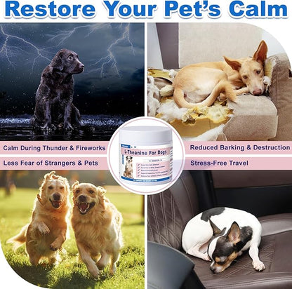 L-Theanine Supplement for Cats &amp; Small Dogs – Helps Keep Pets Calm &amp; Relaxed – for Small, Medium &amp; Large Dogs &amp; All Cats – 100g Powde
