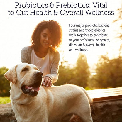 Rx Vitamins Rx Biotic - Probiotic Powder for Dogs and Cats - Cat Digestive Support &amp; Probiotic for Dogs Gut Health - Dog Probiotics for Digestive Health - 2.12oz