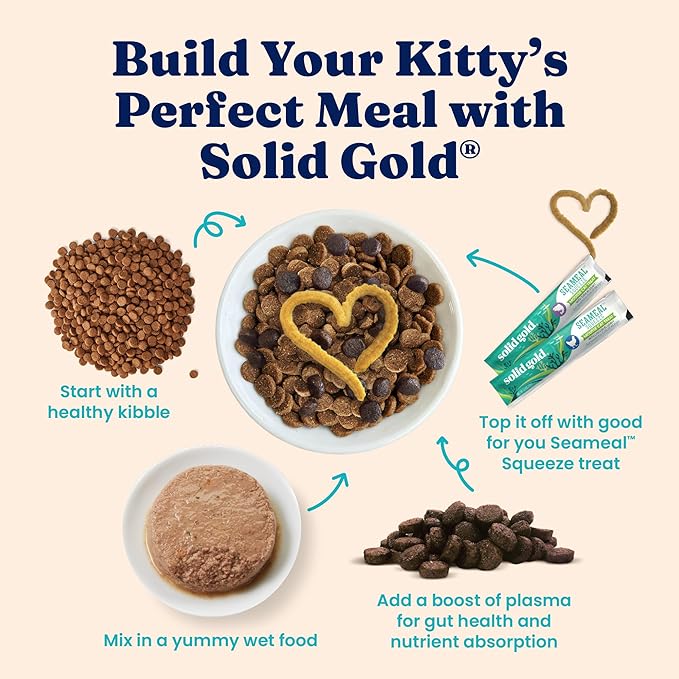 Solid Gold Wet Food Pate Flavorful Feast - 3 Count Sample Pack - Canned Cat Food Made with Real Chicken - Grain Free for Sensitive Stomach &amp; Healthy Living
