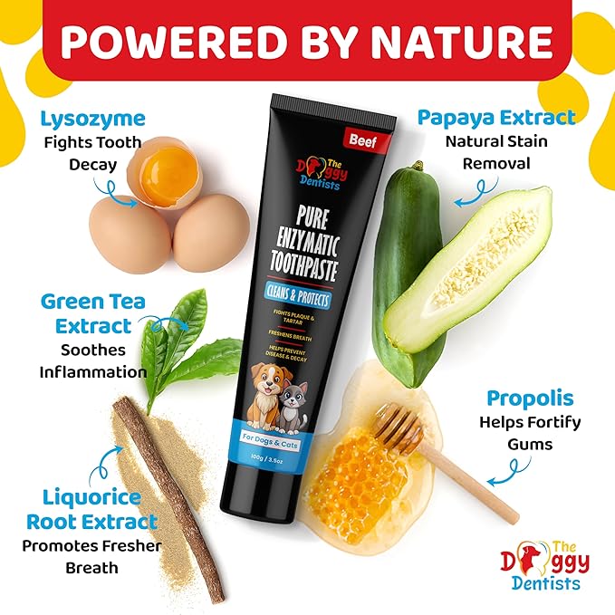 Vet Strength Pure Enzymatic Dog &amp; Cat Toothpaste | 3.5oz Beef Flavor | Enzyme Pet Toothpaste for Tartar Removal, Bad Breath, Teeth Cleaning | Suitable for Puppies &amp; Kittens