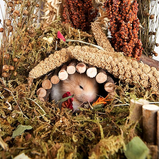 Natural Ear of Grain Flower&amp;Herb Bedding Mate Habitat Decor, Adding Fun Hamster Accessories for Hamsters Gerbils Lemming
