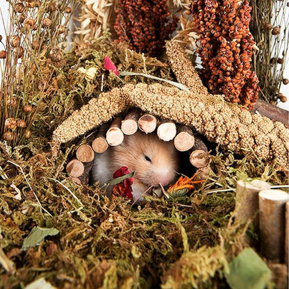 Natural Ear of Grain Flower&amp;Herb Bedding Mate Habitat Decor, Adding Fun Hamster Accessories for Hamsters Gerbils Lemming