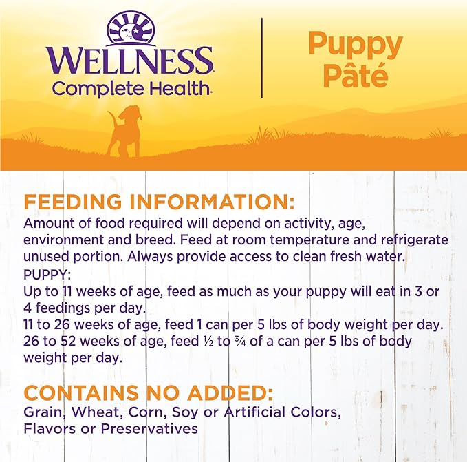 Wellness Complete Health Natural Wet Canned Puppy Food, Puppy Chicken &amp; Salmon 12.5-Ounce Can (Pack of 12)