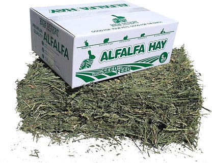 High Desert Alfalfa Hay for Rabbits, Guinea Pigs, Chinchillas &amp; Small Pets – Protein-Rich Natural Hay for Young, Growing Animals – High-Fiber, Hand-Packed, Additive-Free, Grown in USA – 5 lb Box