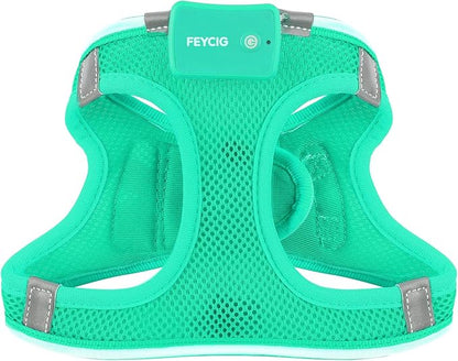 Light Up Dog Harness,Rechargeable LED Dog Harness for Small Medium Large Dogs,Reflective Lighted Safety Vest for Night Walking &amp; Camping,Lightweight &amp; Adjustable,Light Green,L