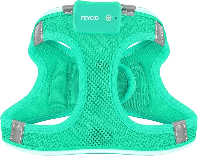 Light Up Dog Harness,Rechargeable LED Dog Harness for Small Medium Large Dogs,Reflective Lighted Safety Vest for Night Walking &amp; Camping,Lightweight &amp; Adjustable,Light Green,XS