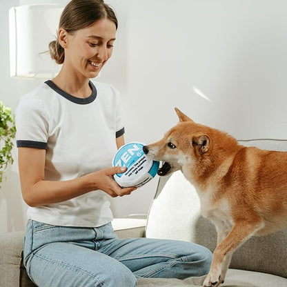 Zen Pupper Deckies Parody Dog Toy - Plush Squeaky and Crinkle Funny Dog Toy - Drool Mint