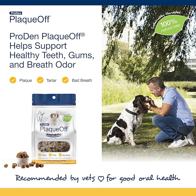ProDen PlaqueOff Scoopables - Hickory Smoked Bacon Flavor Dental Bites for Small Dogs, Natural Kelp for Plaque &amp; Tartar Control, Freshens Breath - Small &amp; Medium Breed Dental Care- 45 Scoops