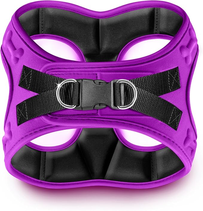 Comfort fit Step-in Dog &amp; Puppy Harness - Comfortable All Weather Dog Vest Harness: Adjustable, Soft Padded, Easy to Put-on for Small, Medium-Sized Dogs.