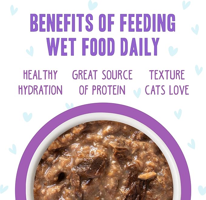 Weruva B.F.F. OMG - Best Feline Friend Oh My Gravy!, Booya! Beef &amp; Chicken in Gravy Cat Food, 2.8oz Pouch (Pack of 12)