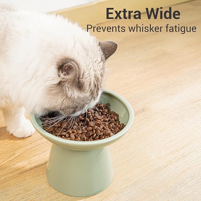 Extra Wide Elevated Ceramic Cat Food Bowl - 6.2" Shallow Dish for Whisker Fatigue Relief, 5" Height for Easy Feeding, Lead &amp; Cadmium Free, Durable Raised Cat Food Bowls, Sage Green