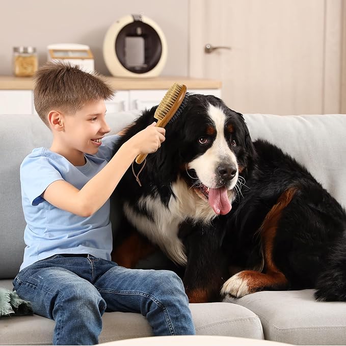 TAKAVU Short Hair Dog &amp; Cat Deshedding Brush - Double Sided Grooming Tool with Silicone Massage &amp; Bristle Sides - Removes Loose Fur &amp; Dirt - Wood Handle