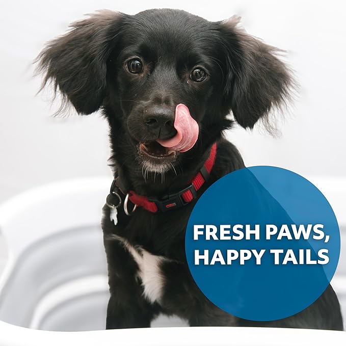 Smoochie Collapsible Pet Bathtub &amp; Washing Station – Portable, Space-Saving Tub for Dogs &amp; Cats, Indoor &amp; Outdoor Grooming