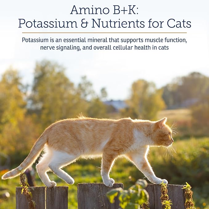 Rx Vitamins Amino B+K - Cat Vitamin B &amp; Potassium Supplement for Cats - with Amino Acids Taurine &amp; Lysine - Aids in Cat Kidney Support &amp; Immune Support for Cats - Liver &amp; Bacon 4oz