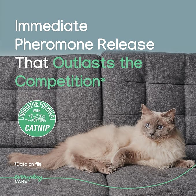 Virbac Zenifel Gel Diffuser for Managing Stress-Related Behaviors in Kittens &amp; Cats - No Electricity Needed - Lasts Up to 2 Months - 1 Diffuser