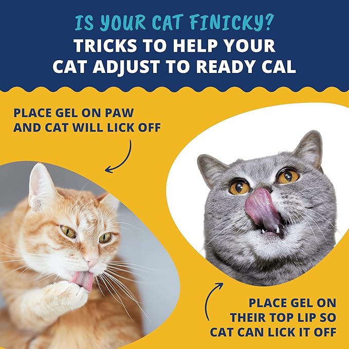Under The Weather Pet | Ready Cal for Cats 100cc | High Calorie Supplement | Cat Weight Gainer and High Calorie Booster | 10 Vitamins, 7 Minerals &amp; Omega Fatty Acids (for Cats 100cc)
