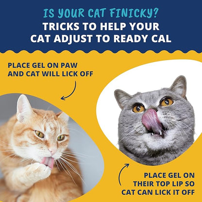 Under The Weather Pet | Ready Cal for Cats 100cc | High Calorie Supplement | Cat Weight Gainer and High Calorie Booster | 10 Vitamins, 7 Minerals &amp; Omega Fatty Acids (for Cats 100cc)