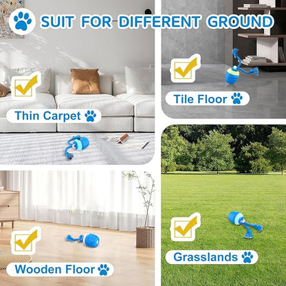 Interactive Dog Toys - [2025 Newly Upgraded] Motion Activated Ball for Small/Medium/Large Dogs, Automatic Moving Dog Toy Wicked Ball for Boredom &amp; Training, Music, USB Rechargeable (Blue)