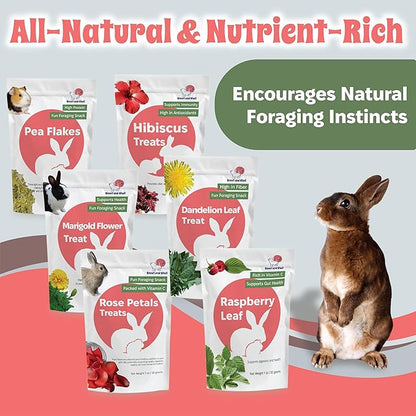 Snout and Shell Small Pet Mega Pack – 6 Natural Treats: Pea Flakes, Dandelion, Raspberry Leaf, Marigold, Rose Petals &amp; Hibiscus – For Rabbits, Guinea Pigs, Chinchillas &amp; More – Foraging &amp; Health Boost