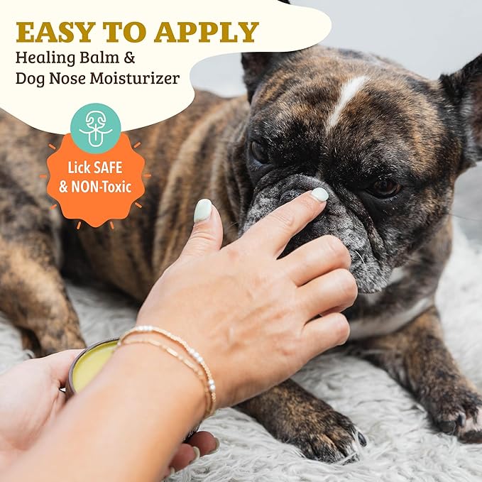 Natural Dog Company Snout Soother, Dog Nose Balm, Wax &amp; Cream for Dry, Cracked Noses, Heals &amp; Moisturizes with Shea Butter &amp; Coconut Oil, Lick-Safe Nose Butter, Made in USA, 1 oz. Tin