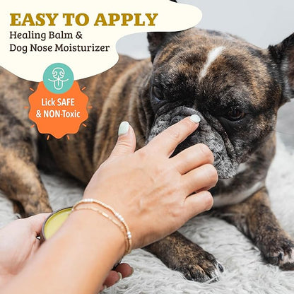 Natural Dog Company Snout Soother, Dog Nose Balm, Wax &amp; Cream for Dry, Cracked Noses, Heals &amp; Moisturizes with Shea Butter &amp; Coconut Oil, Lick-Safe Nose Butter, Made in USA, 1 oz. Tin