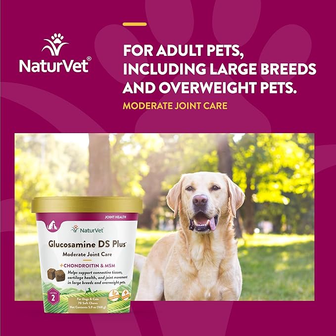 NaturVet – Glucosamine DS Plus - Level 2 Moderate Care – Supports Healthy Hip &amp; Joint Function – Enhanced with Glucosamine, MSM &amp; Chondroitin – for Dogs &amp; Cats–70 Soft Chews