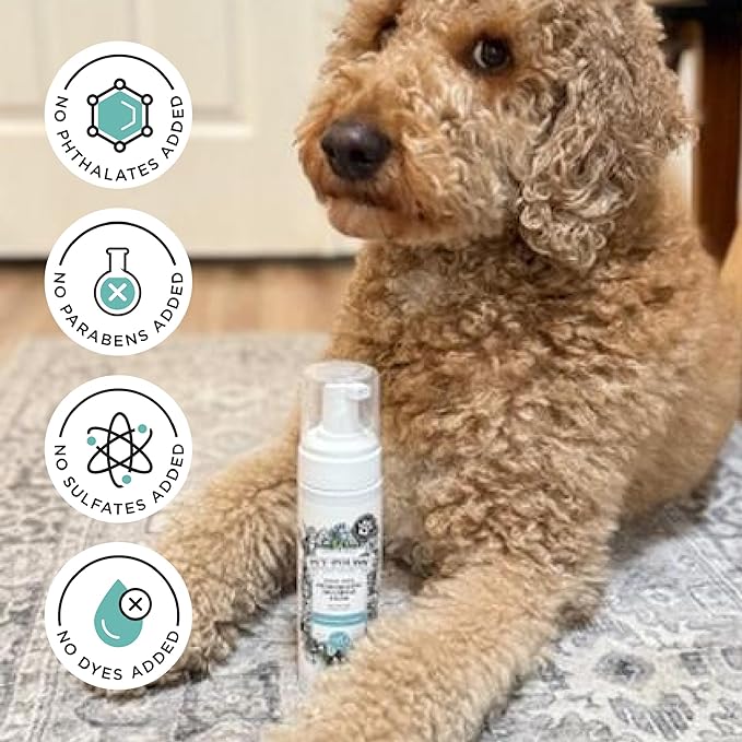 Poo-Pourri Rinse-Free Deodorizing Dry Shampoo for Dogs &amp; Cats – Moisturizing Skin &amp; Coat Soothing Formula - Plant Based Ingredients – Pineapple, Jasmine &amp; Pear – No Rinse Foam Shampoo for Pet Odor