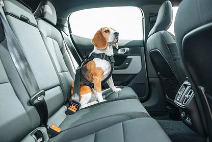 Thule Cappy Dog Harness L - Crash-Tested for Safety - Seatbelt passthrough - Adjustable &amp; Easy to Clean - Padded Breathable mesh Panels - Leash Loop - Step-in Design