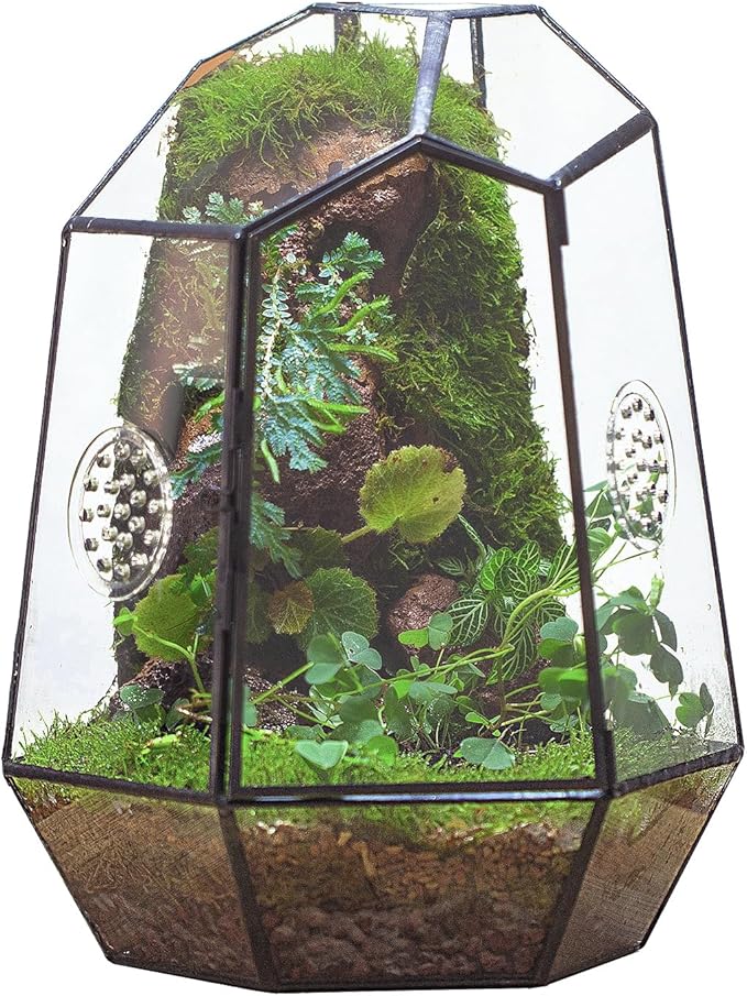 NCYP Closed Geometric Glass Enclosure with Front Opening Door &amp; 2 Vent Holes for Insects, Succulent, Cacti - 7.9"x6.9"x9.8" Black Irregular Terrarium Planter - Home Garden Tabletop Decor (No Plants)