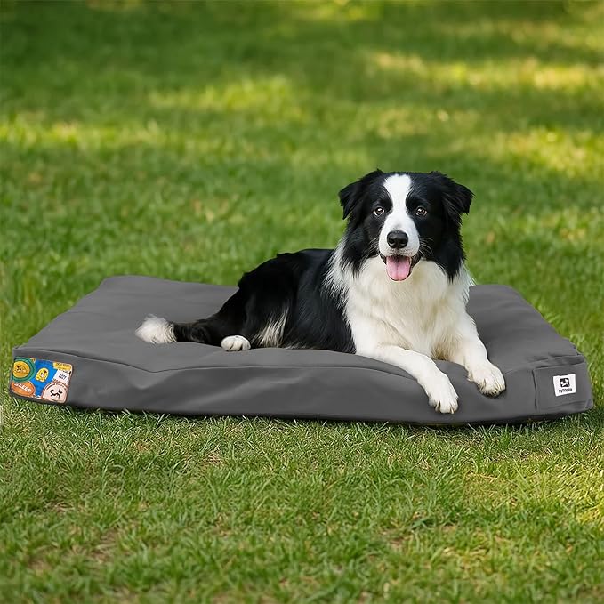 Sytopia 36-Inch Canvas Outdoor Dog Bed, Waterproof &amp; Washable with Removable Cover, Ideal for Medium &amp; Large Dogs, Chew-Proof Great for Indoor, Outdoor, Crate, or Patio Use (Dark Grey)