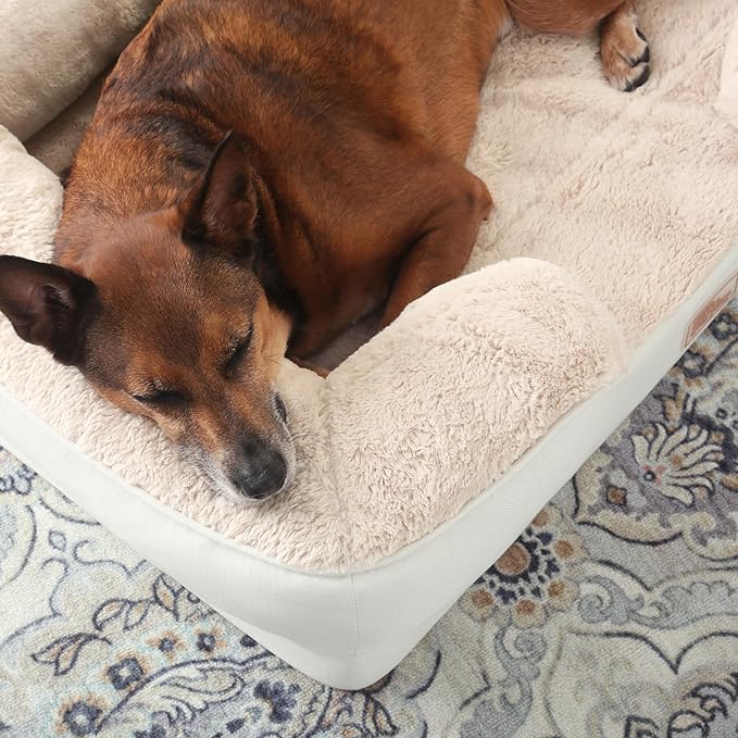 TOWN &amp; COUNTRY EVERYDAY CuddleTown Comfy Solid Bolster Sofa Pet Bed, Supportive &amp; Calming Egg Crate Foam, Non-Slip Bottom, Machine Washable Cover, Cream, Large 35"x25"x8"