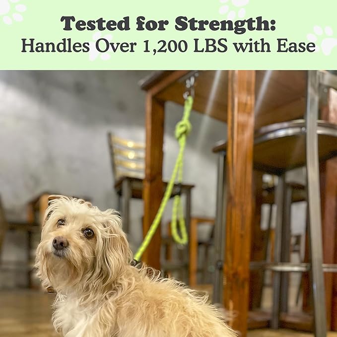 Canine Hitch- Secure Dog Leash Parking Mounted Indoor – Outdoor Wall Hook - Tie Out Stainless Steel Practical Lead Management for Home &amp; Business, Slim Compact 6 Pack