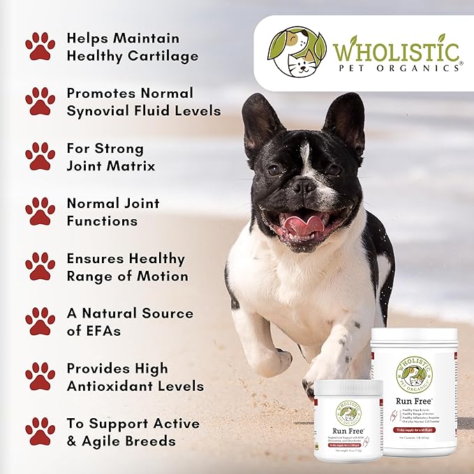 Wholistic Pet Organics Joint Supplement for Dogs - 4 Oz - Daily Dog Hip and Joint Supplement with Glucosamine Chondroitin &amp; MSM to Support Mobility - All Breeds &amp; Ages - Organic Glucosamine for Dogs