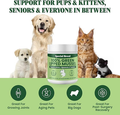 Special Breed Green Lipped Mussel Powder for Dogs &amp; Cats - 100% New Zealand - Natural Hip &amp; Joint Supplement for Joints, Tendons, Ligaments, Muscles - 100 Grams - Up to 332 Servings