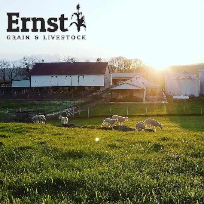 Ernst Grain &amp; Livestock Bird and Wildlife Feed – Perfect for Birds, Ducks, Squirrels, Turkeys, Rabbits, Geese, and Deer – Non-GMO Wild Animal &amp; Bird Feed for Outside Feeders - 10lbs