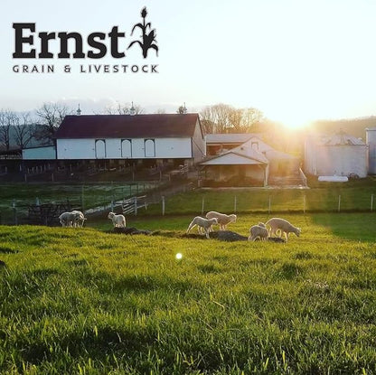 Ernst Grain &amp; Livestock Bird and Wildlife Feed – Perfect for Birds, Ducks, Squirrels, Turkeys, Rabbits, Geese, and Deer – Non-GMO Wild Animal &amp; Bird Feed for Outside Feeders - 10lbs