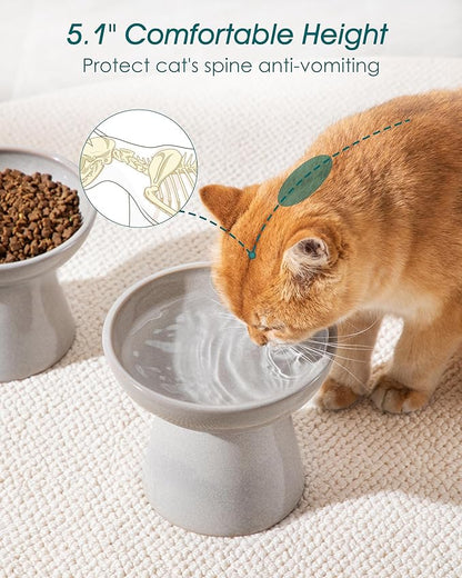 vancasso Ceramic Elevated Cat Bowls 2-Pack - 6.2" Extra Wide Raised Cat Food &amp; Water Dishes, 5.1" Optimal Height Anti-Whisker Fatigue Shallow Bowls for Cats/Kittens/Dogs, Lead &amp; Cadmium Free (Grey)