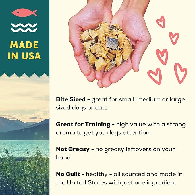 A Better Treat – Freeze Dried Organic Pumpkin, Wild Caught Salmon, Organic Grass Fed &amp; Finished Pasture Raised Beef, Organic Chicken Dog and Cat Treats | Healthy, Diabetic Friendly | Made in The USA