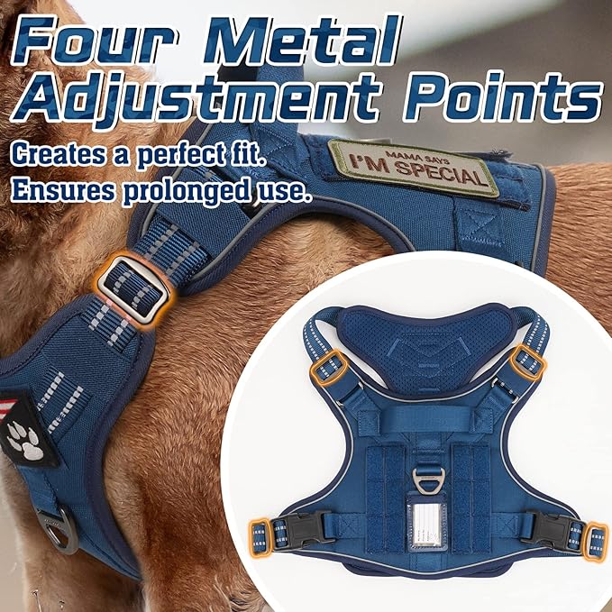 rabbitgoo Tactical Dog Harness for Large Dogs, No Pull Military Service Vest with Handle &amp; Molle, Easy Control for Training Walking, Adjustable Reflective Straps, Blue, XL
