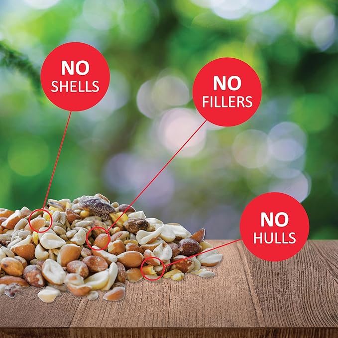 Lyric Woodpecker Wild Bird Seed, No Waste Bird Seed with Nuts, Dried Fruit &amp; Shelled Seeds - 5 lb. Bag