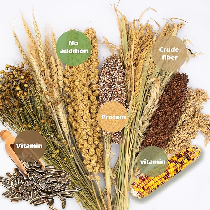 Natural Ear of Grain Flower&amp;Herb Bedding Mate Habitat Decor, Adding Fun Hamster Accessories for Hamsters Gerbils Lemming