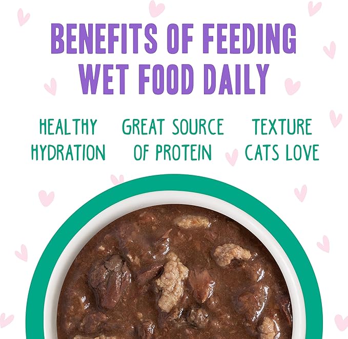 Weruva B.F.F. OMG - Best Feline Friend Oh My Gravy!, Tuna &amp; Turkey Tell Me with Tuna &amp; Turkey, 2.8oz Can (Pack of 12)