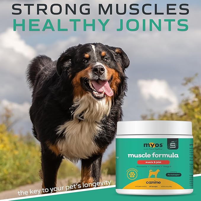 MYOS Muscle &amp; Joint Powered by Fortetropin with Green Lipped Mussel (198 gr)