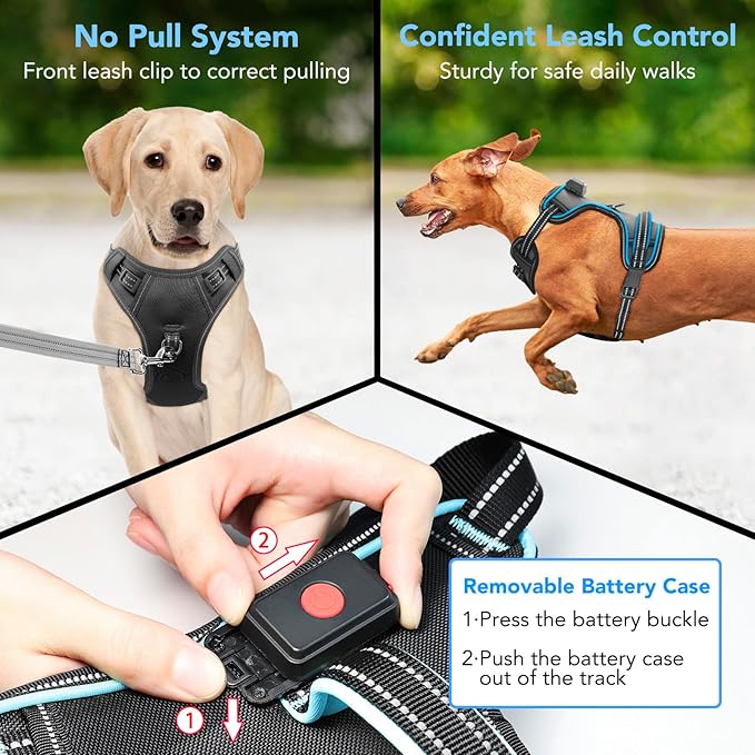 Rechargeable LED Dog Harness - No Pull, 4 Point Adjustable, Lighted Vest for Small/Medium/Large/X-Large Dogs