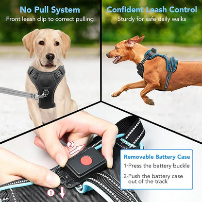 Rechargeable LED Dog Harness - No Pull, 4 Point Adjustable, Lighted Vest for Small/Medium/Large/X-Large Dogs