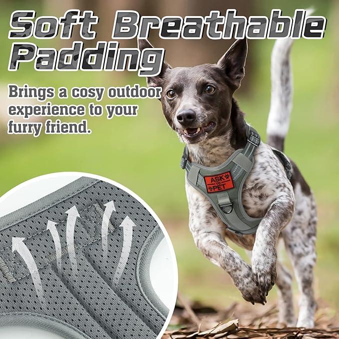 rabbitgoo Tactical Dog Harness for Small Dogs, No Pull Military Service Vest with Handle &amp; Molle, Easy Control for Training Walking, Adjustable Reflective Straps, Dark Grey, S