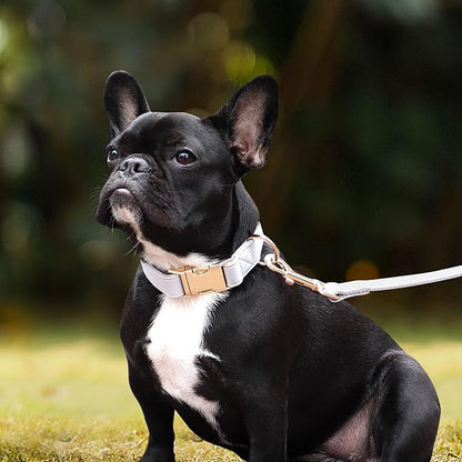 PET ARTIST Soft PU Leather Dog Collar for Small Dogs, Bright &amp; Classic Nylon Padded Durable Dog Collar Leather with Quick Release Metal Buckle Adjustable for Male Dogs, Neck Fit 9-14"