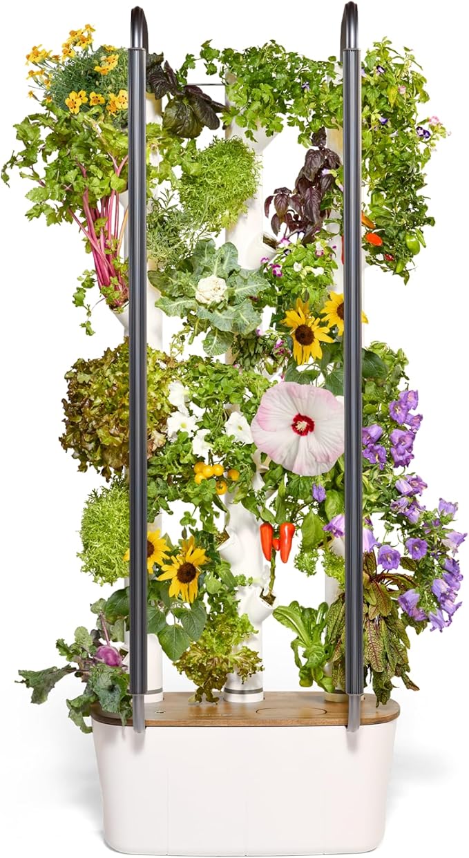 Gardyn 4.0 Hydroponics Growing System Kit &amp; Vertical Garden Planter, 30 Non-GMO Indoor Plants Smart Garden, Herbs, Vegetables &amp; LED Grow Lights for Indoor Gardening System
