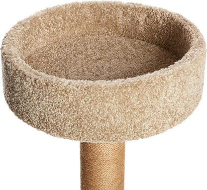 Amazon Basics Cat Tree - Indoor Cat &amp; Kittens Multi-Level Climbing Activity Tower with Scratching Posts, Medium (31.5"H) - Beige